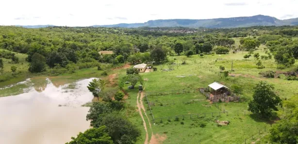 Fazenda/Sítio com 5 Quartos à venda, 37m² no , Goiás