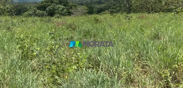 Fazenda/Sítio com 1 Quarto à venda, 190m² no , Buritis