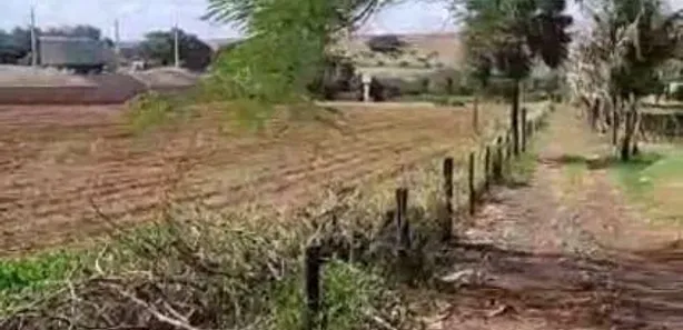 Lote/Terreno para venda ou aluguel, 10000m² no Br-376, Marialva