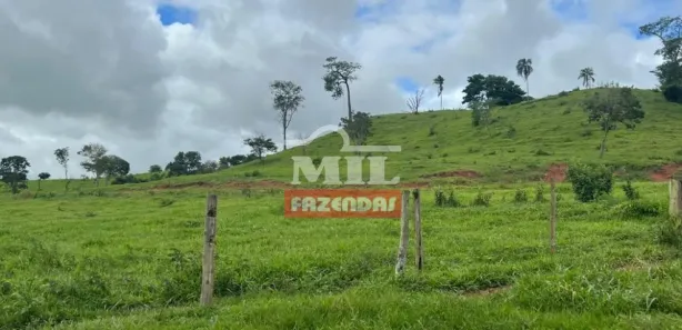 Fazenda/Sítio à venda, 20000m² no Vila Mutirão, Inhumas