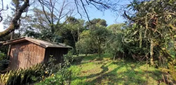 Fazenda/Sítio com 3 Quartos à venda, 49000m² no , Caraá