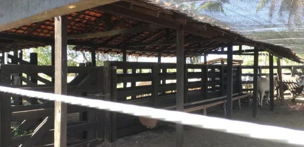 Fazenda/Sítio à venda, 300m² no Centro, Itapecuru Mirim