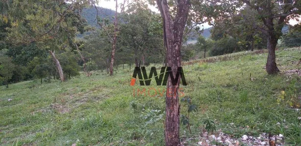 Fazenda/Sítio à venda, 774400m² no Goiás, Goiás