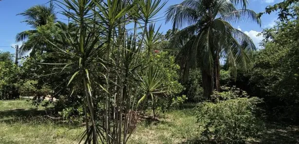 Casa de Condomínio com 6 Quartos à venda, 300m² no , Itaparica