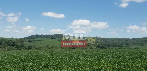 Fazenda/Sítio à venda, 20000m² no , Silvânia