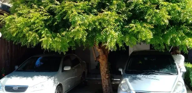Casa de Condomínio com 4 Quartos à venda, 110m² no Stella Maris, Salvador