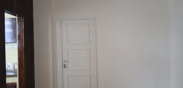 Apartamento com 1 Quarto para alugar, 45m² no Rio Comprido, Rio de Janeiro