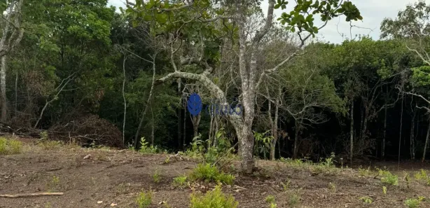 Fazenda/Sítio com 1 Quarto à venda, 3000m² no , Gameleira de Goiás