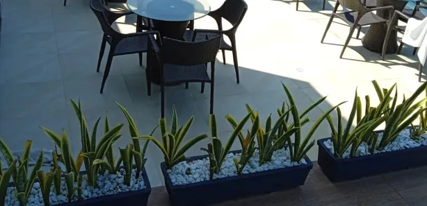 Apartamento com 1 Quarto à venda, 32m² no , Ipojuca