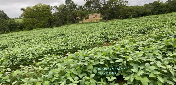 Fazenda/Sítio com 3 Quartos à venda, 2178000m² no , Niquelândia