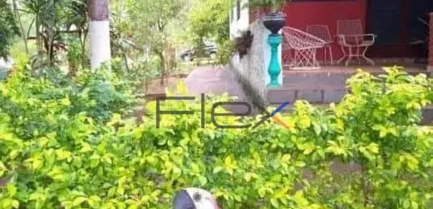 Fazenda/Sítio com 3 Quartos à venda, 200m² no , Avaí