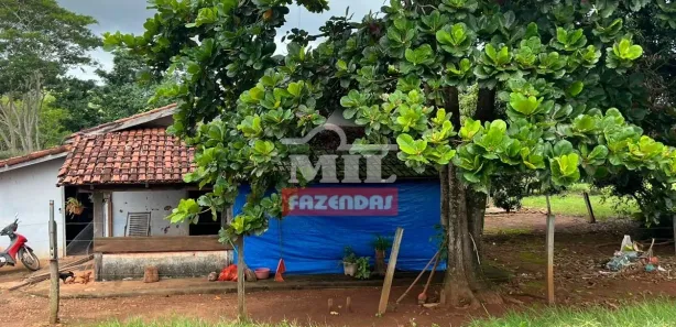 Fazenda/Sítio à venda, 20000m² no Vila Mutirão, Inhumas