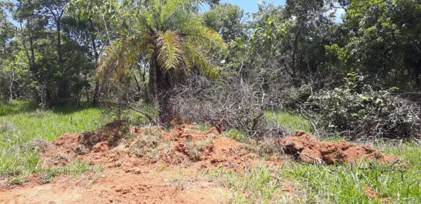 Lote/Terreno à venda, 20000m² no , Araçaí