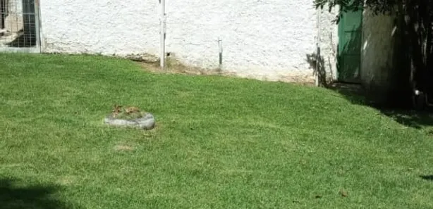 Fazenda/Sítio com 2 Quartos à venda, 55m² no Campo Grande, Rio de Janeiro