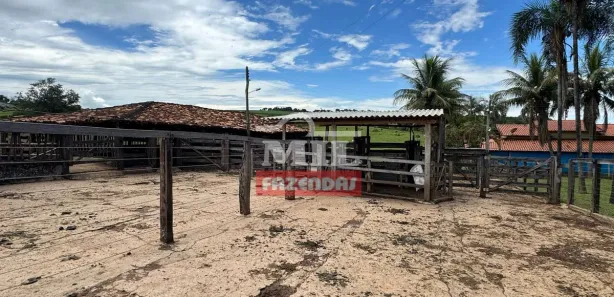 Fazenda/Sítio à venda, 500m² no Vila Santa Terezinha, Inhumas