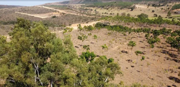 Lote/Terreno à venda, 20012m² no , Cordisburgo