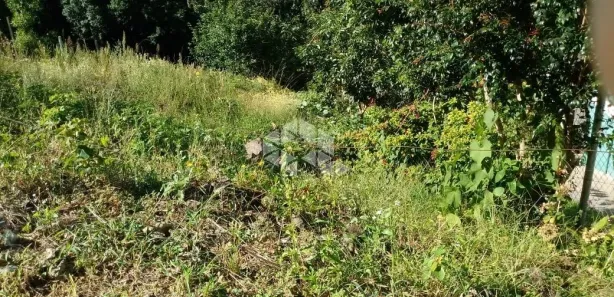 Lote/Terreno à venda, 611m² no São Roque, Bento Gonçalves