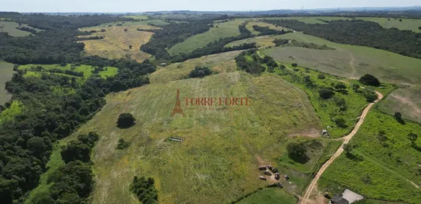 Fazenda/Sítio com 3 Quartos à venda, 4977200m² no Setor Central, Silvânia
