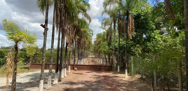 Fazenda/Sítio com 4 Quartos à venda, 20000m² no Área Rural de Brazlândia, Brasília