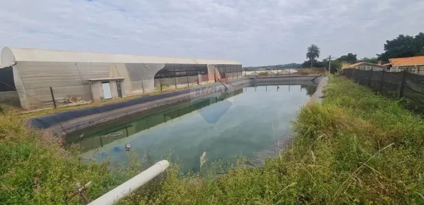 para alugar, 2000m² no , Artur Nogueira