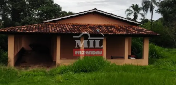 Fazenda/Sítio à venda, 330000m² no , Silvânia