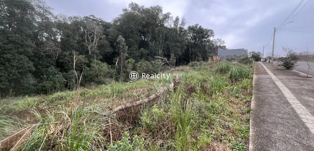 Lote/Terreno à venda, 420m² no Universitário, Bento Gonçalves