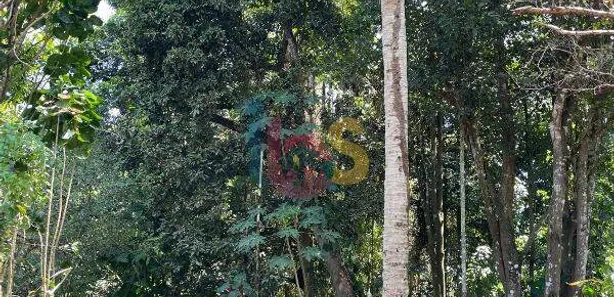 Lote/Terreno à venda, 250m² no Trancoso, Porto Seguro