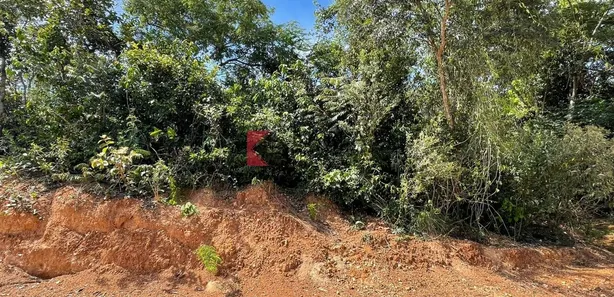 Lote/Terreno à venda, 360m² no Parque das Borboletas, Lagoa Santa