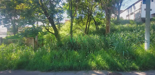 Lote/Terreno à venda, 360m² no Centro, São José da Lapa