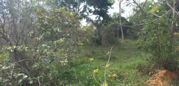 Lote/Terreno à venda, 20000m² no Zona Rural, Paraopeba