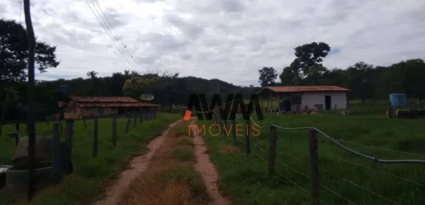 Fazenda/Sítio com 4 Quartos à venda, 1137400m² no , 