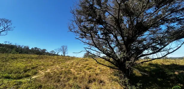 Lote/Terreno à venda, 20000m² no Zona Rural, Cachoeira da Prata