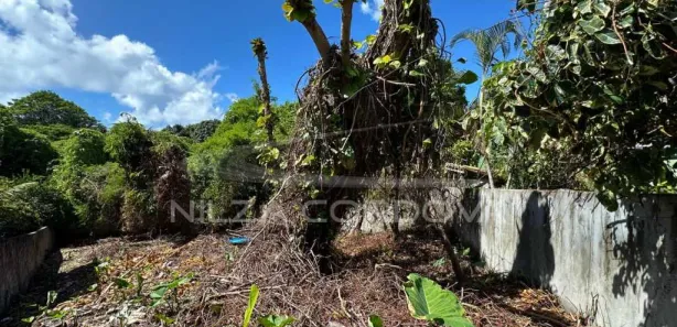 Lote/Terreno à venda, 459m² no Arraial D'Ajuda, Porto Seguro