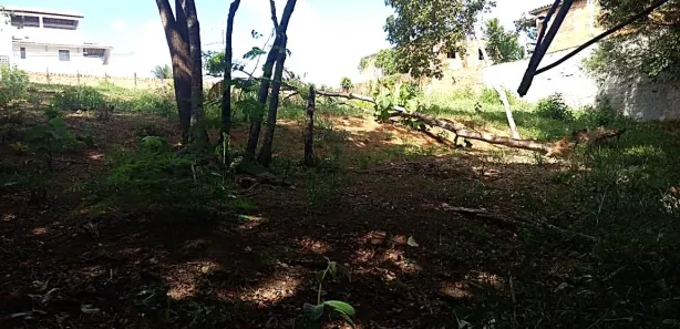 Lote/Terreno à venda, 1650m² no Jardim das Margaridas, Salvador