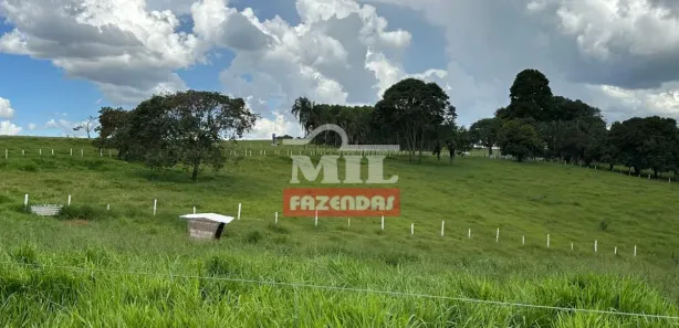Fazenda/Sítio à venda, 20000m² no , Terezópolis de Goiás