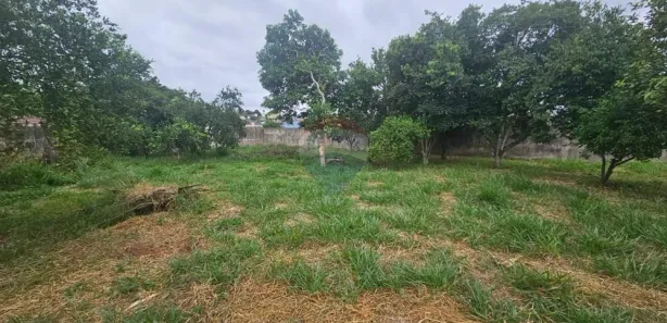 Lote/Terreno à venda, 2398m² no Olímpica, Esteio