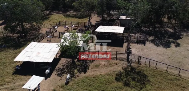 Fazenda/Sítio à venda, 20000m² no , Jaraguá