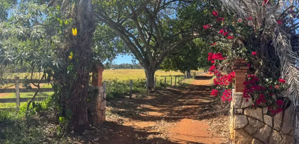 Fazenda/Sítio com 3 Quartos à venda, 532400m² no , Goianápolis