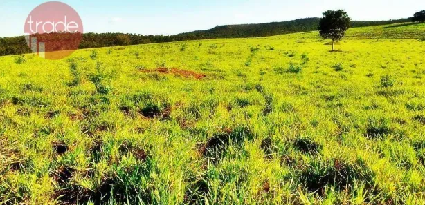 Fazenda/Sítio com 2 Quartos à venda, 15800000m² no Setor Central, Pedro Afonso