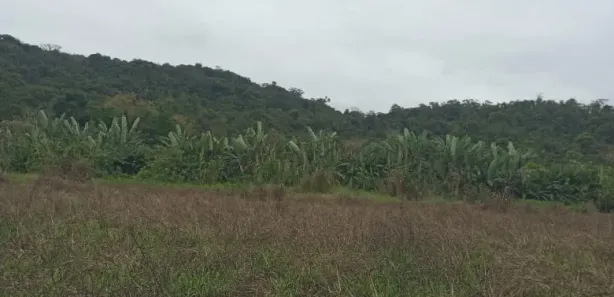 Fazenda/Sítio à venda, 677600m² no , Guaraqueçaba