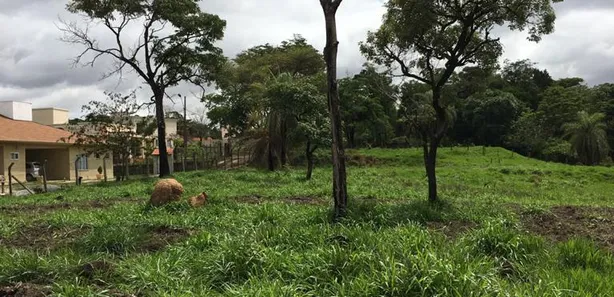 Lote/Terreno à venda, 33000m² no Citrolândia, Betim