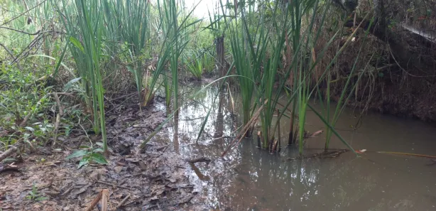 Lote/Terreno à venda, 20000m² no Zona Rural, Paraopeba