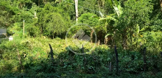 Fazenda/Sítio à venda, 2000m² no Comunidade Urbana de Jaboti, Guarapari