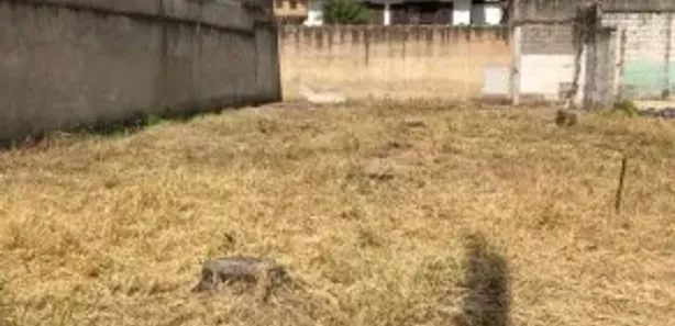 Lote/Terreno com 1 Quarto para alugar, 720m² no Dona Clara, Belo Horizonte