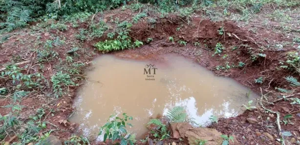 Lote/Terreno à venda, 20000m² no Linha Olinda, Nova Petrópolis