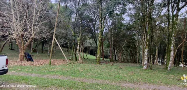 Fazenda/Sítio com 2 Quartos à venda, 90m² no Área Rural de Farroupilha, Farroupilha
