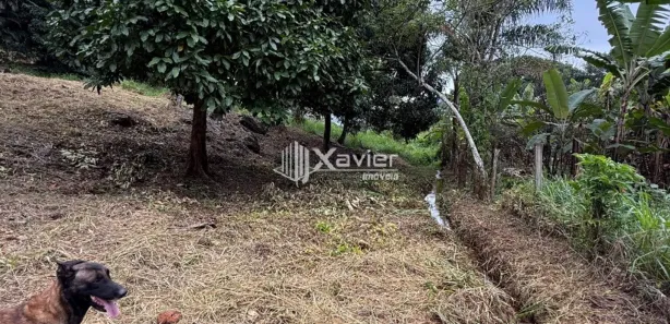 Lote/Terreno à venda, 2000m² no Comunidade Urbana de Jaboti, Guarapari