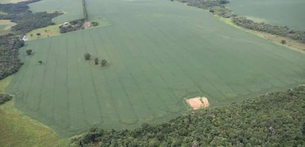 Fazenda/Sítio à venda, 102m² no , Silvânia