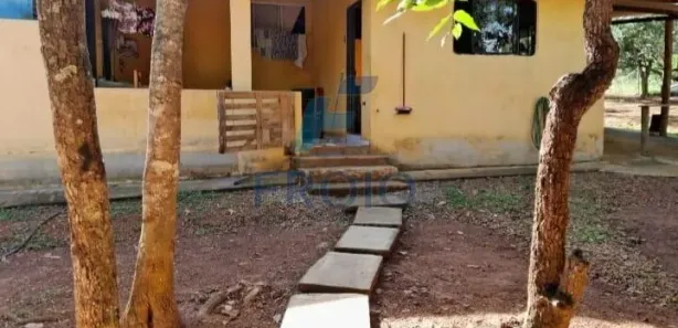Fazenda/Sítio com 3 Quartos à venda, 2000m² no , Goianápolis