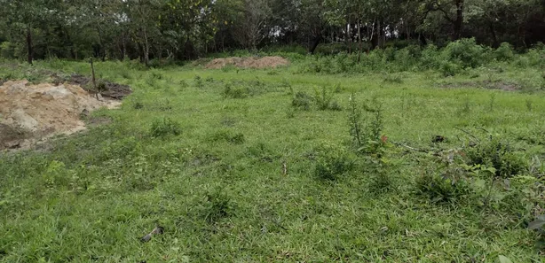 Lote/Terreno à venda, 20000m² no , Fortuna de Minas
